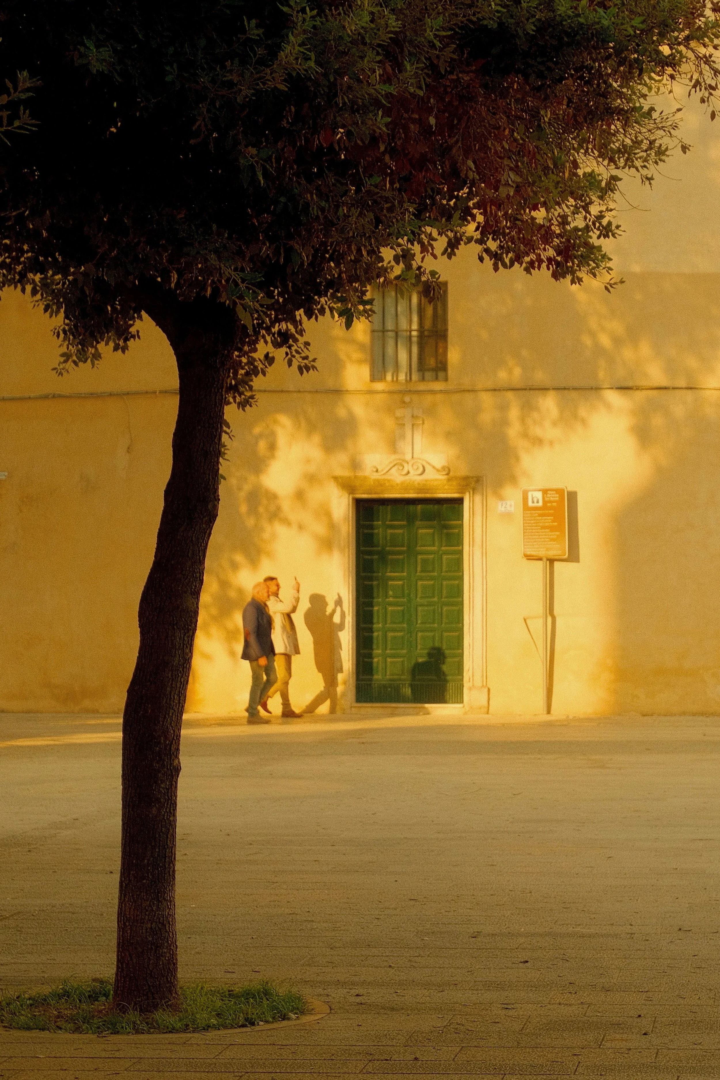 pexels-federica-the-puglia-diaries-ph-2160131680-36520337.jpg