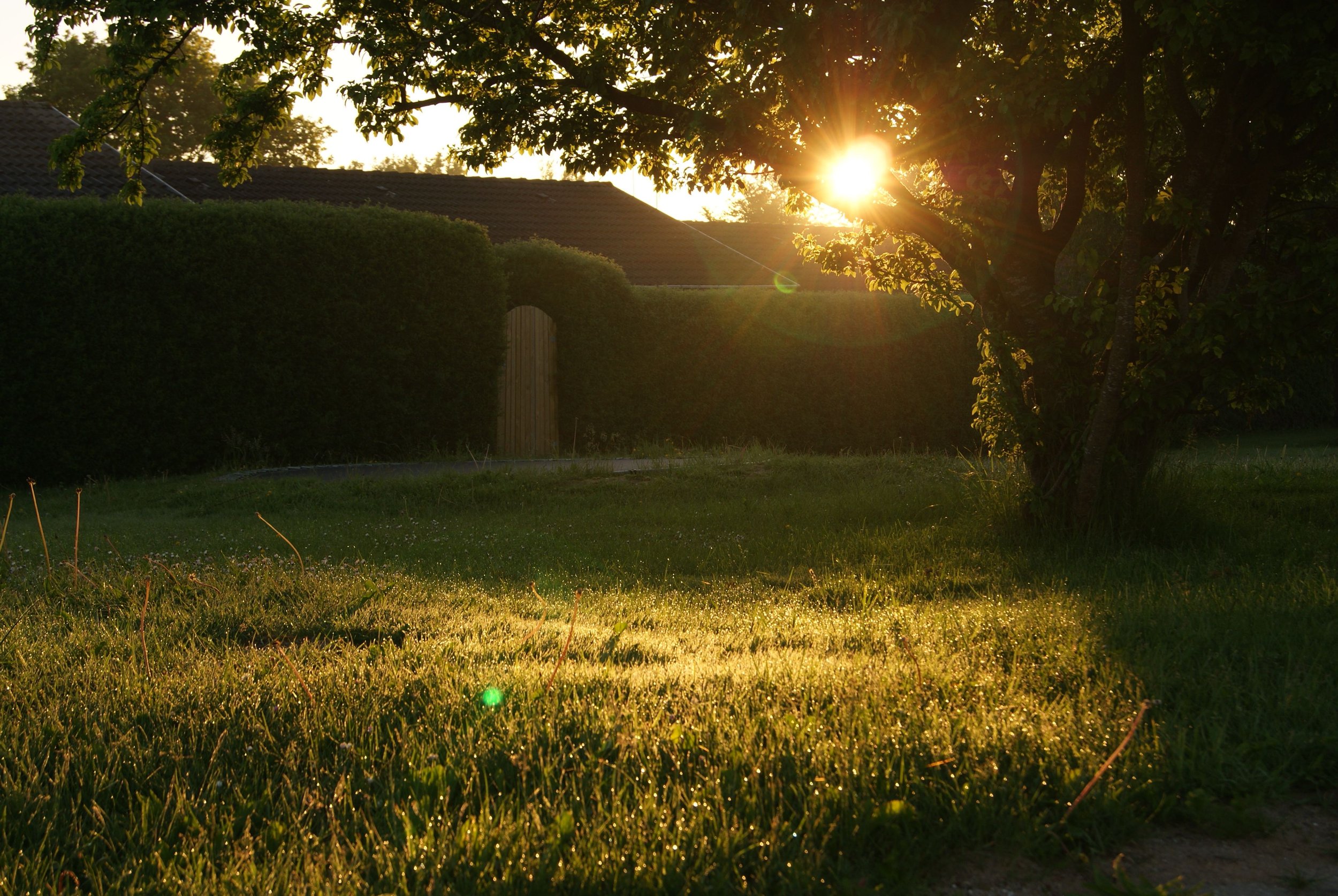 The Best Time of Day for Wedding Photos (And Why Lighting Matters)