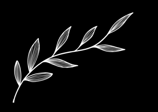 A white, minimalist line drawing of a leafy branch on a black background.