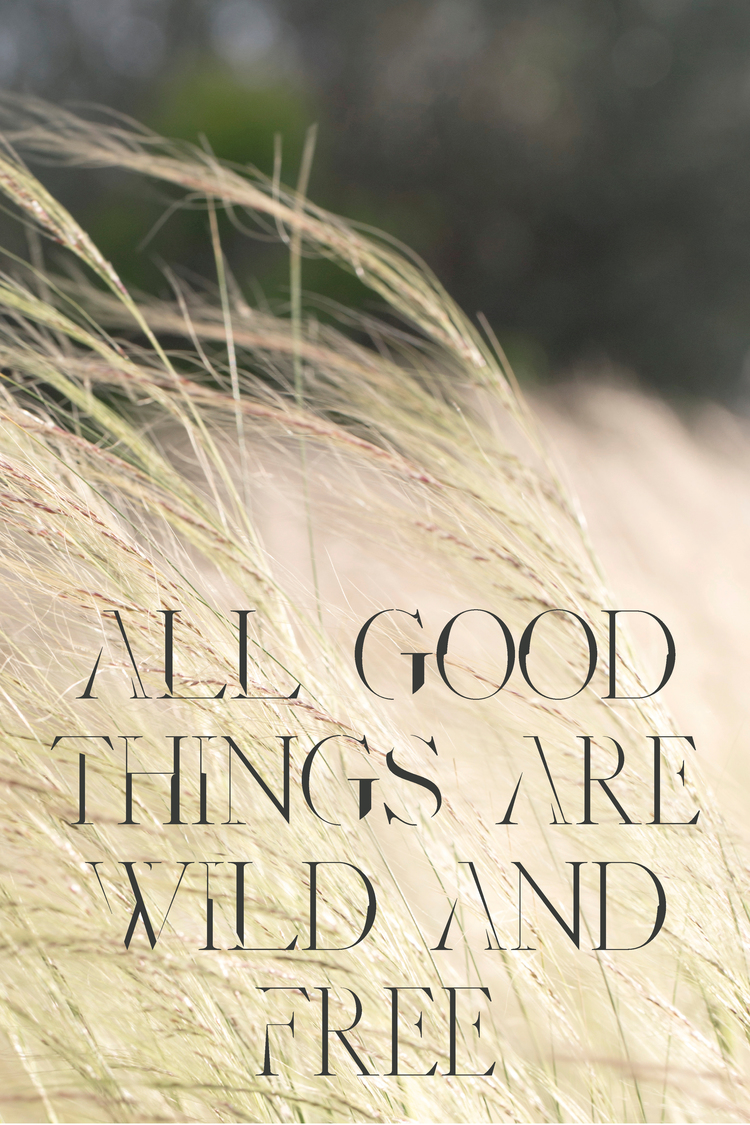 Julie Cimpko - "All Good Things are Wild and Free"....well said.