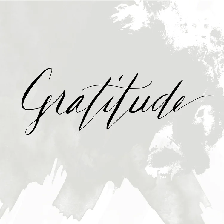 Julie Cimpko - I am so incredibly grateful that I get to do what I love every single day…CREATE and with such a great group of talented women. 