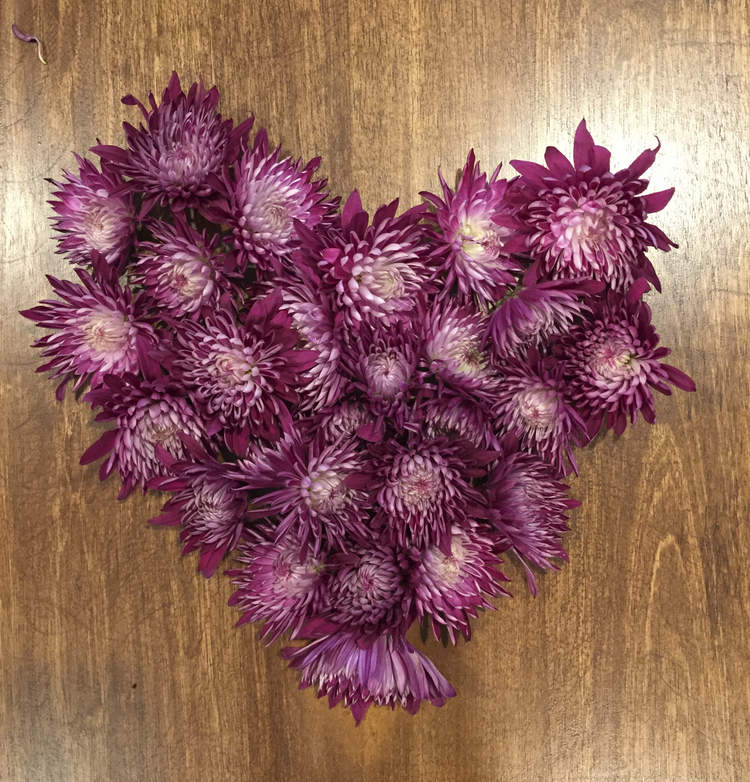 Chelsea Hipley - This weekend was filled with friends and family, flowers and a baby shower, volunteering and being reminded of how lucky I am to live the life I do. My heart is full.