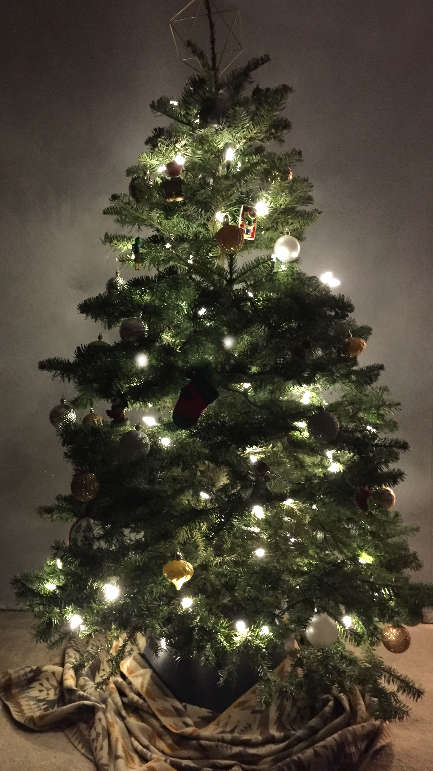Chelsea Hipley - ’Tis the season to sparkle!