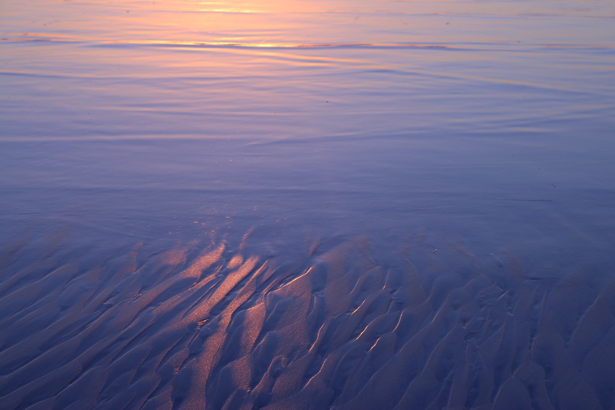 Liberty Edman - A solo sunset beach hike in my hometown, Encinitas, CA. The wet sand reflected the gorgeous sunset; pastel and sparkly! 