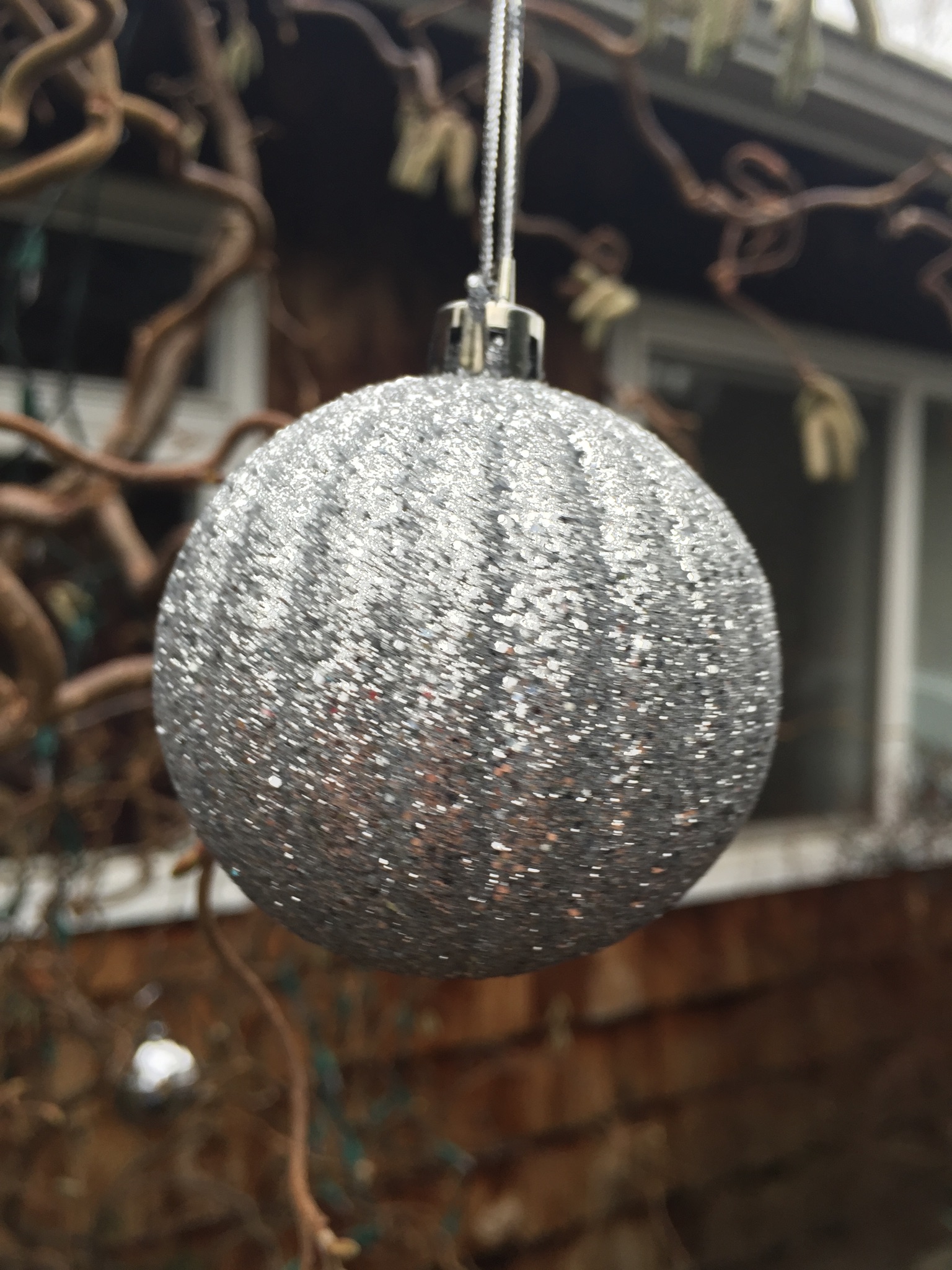 Erik Larson - I wish this was more sparkly but Seattle is just to0 dark and cold.