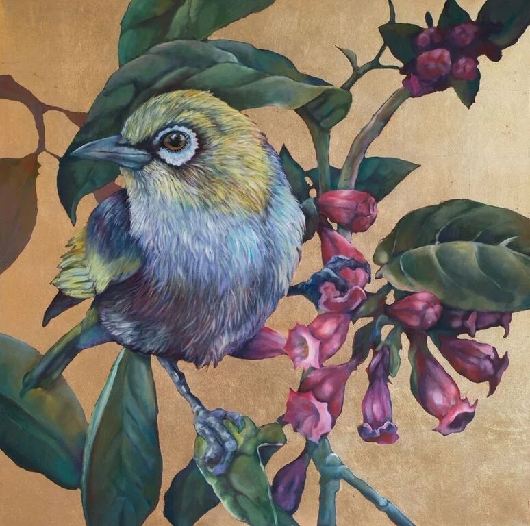 Miranda Jones 1-Nouveau.jpeg