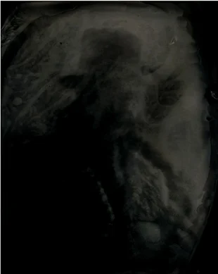 Jennifer Crane, "Untitled from the series "Outlaw" 1/3", 2015, Archival pigment print from wet plate collodion original, 30" x 24"