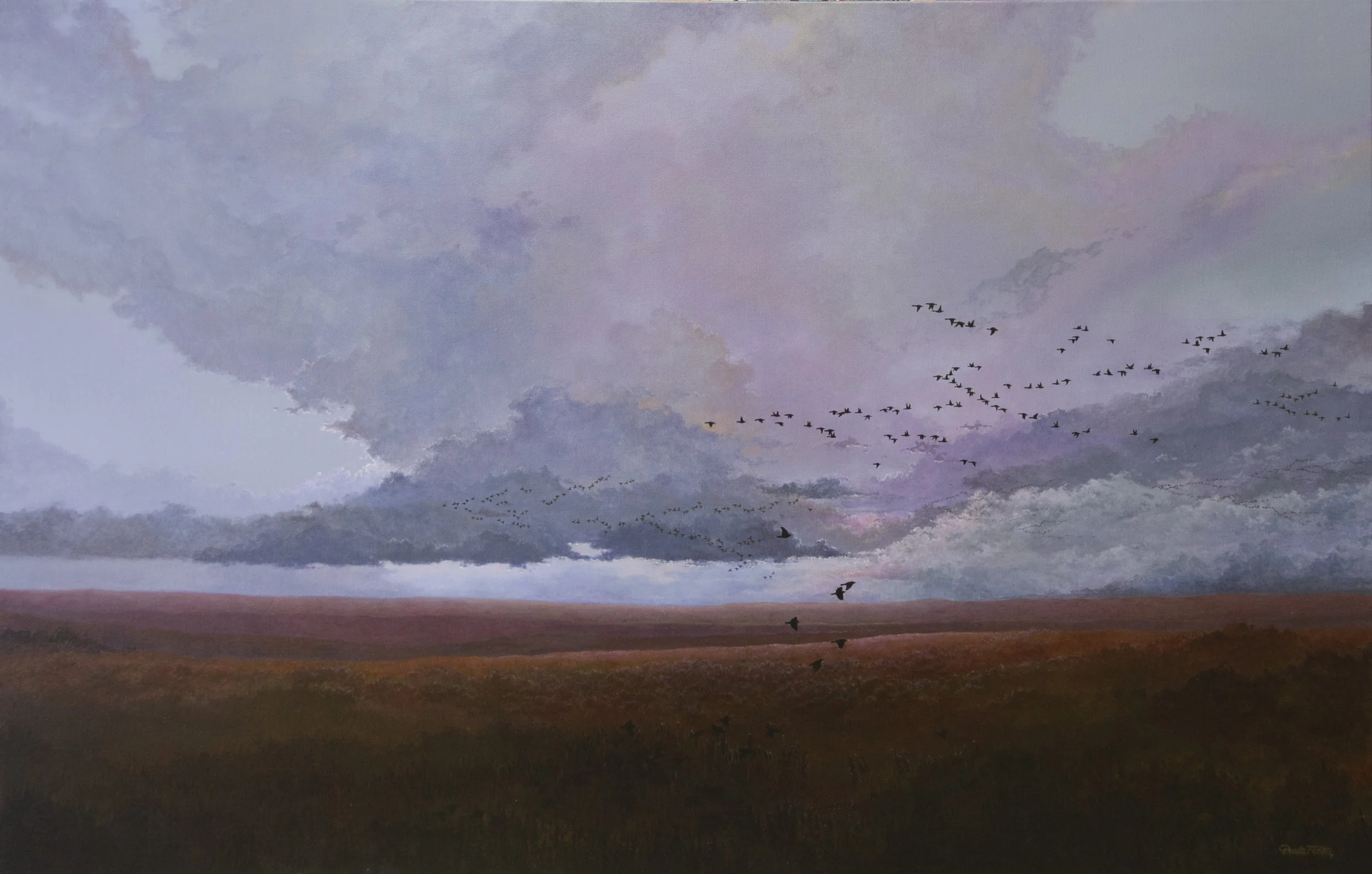 DONITA FICHTER | Flight at Last Light