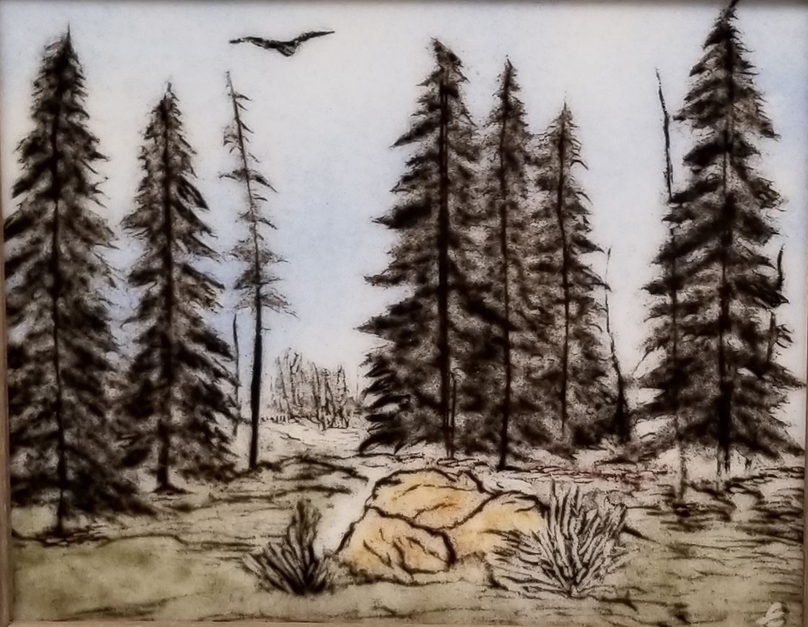 Pine Forest by Elaina Adams.jpg