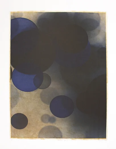 Tim Nowlin, "Retina 241-1 (no. 1/15)", 2019, Offset lithograph, 32" x 24", $1,400.00 Framed