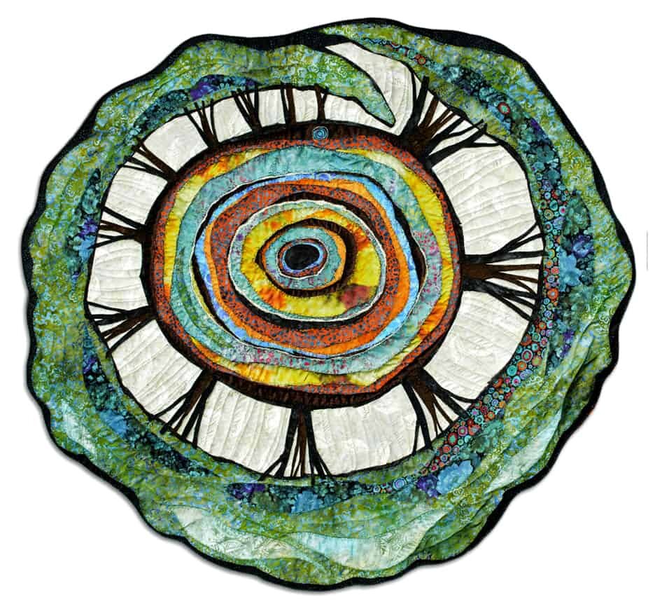 Woven Woods: A journey through the Forest Floor