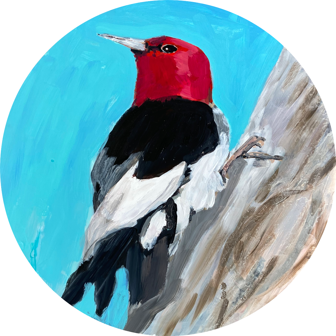 Dawna Rose, "Red Headed Woodpecker"