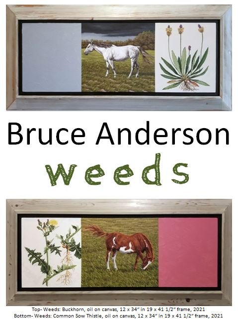 Bruce Anderson: Weeds
