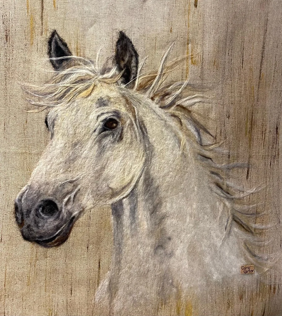 Sue Faul, Carol Carter, Myra Clarke: Light, Colour, Texture 