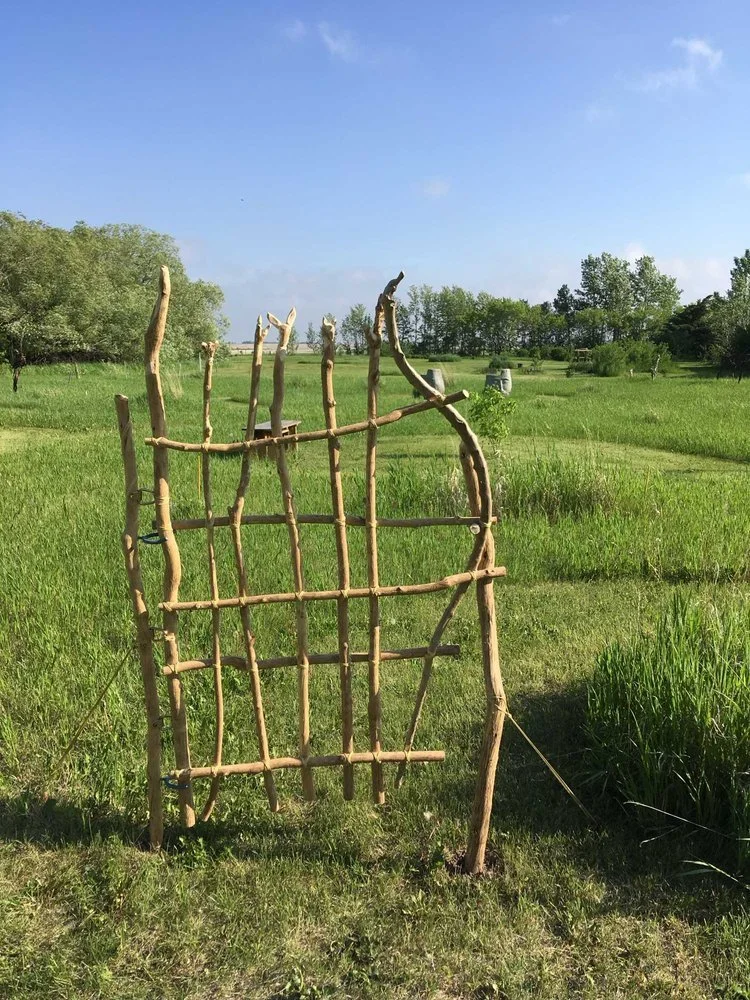 Multi-Artist Exhibition: Open Theme (Garden Gallery)