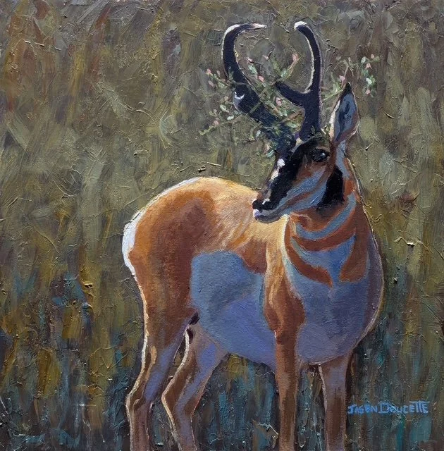 Amber Bryans, Jason Doucette, Ui Hyang Kim: Wild