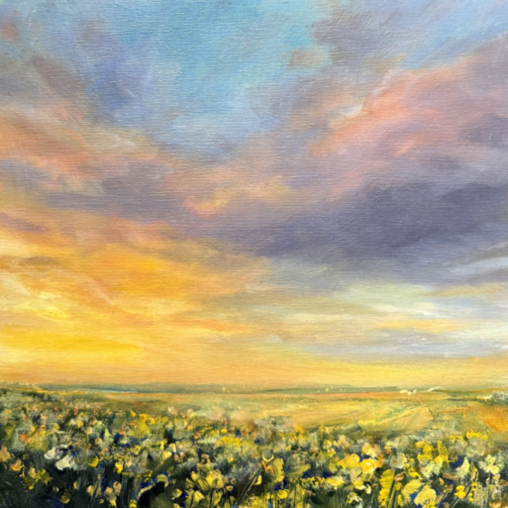 Jodi Miller: What Colour is the Sky?