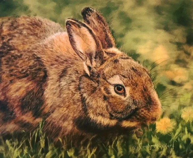 Hoppiness is a peaceful home and heart, and of course, enjoying original art. 🐣🐰

Artwork shown:
Judy Kasdorf, &ldquo;Mr. Rabbit&rdquo;, pastel, 14.75x17&rdquo;, framed, $485, available at Dandelion Art Framing &amp; Gallery
https://www.dandelionar