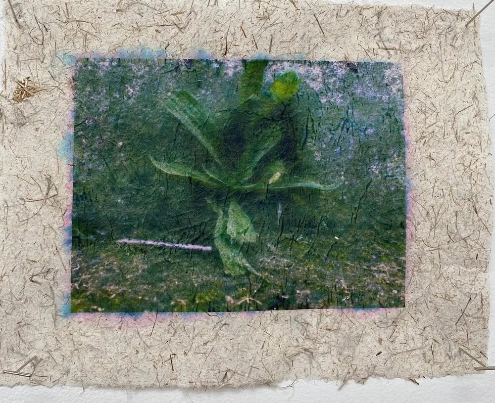 Louisa Ferguson - Slow Archive
