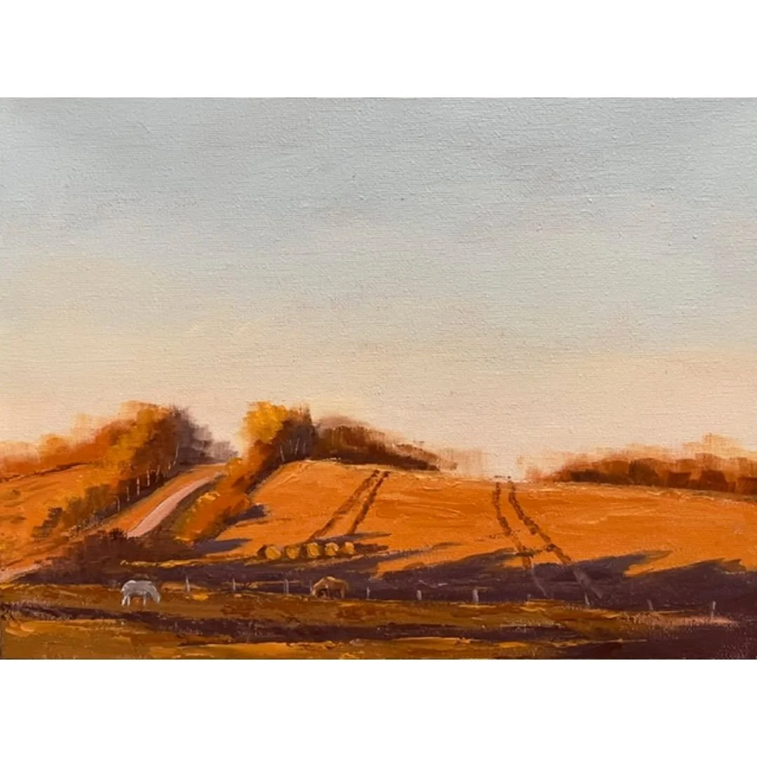A new exhibition is opening at the Dandelion Gallery in Saskatoon. The Listening Land starring Tina Waters opens on Saturday, June 6th with a reception from 10 a.m. to 2 p.m. to meet Tina.

This show captures rural life the calm, the storms, the sile