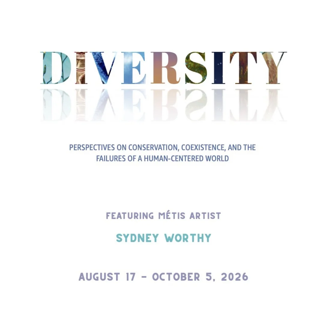 Sydney Worthy: Diversity