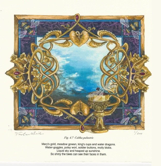 Valerie Wiebe: Native Flora Art Show &amp; Sale