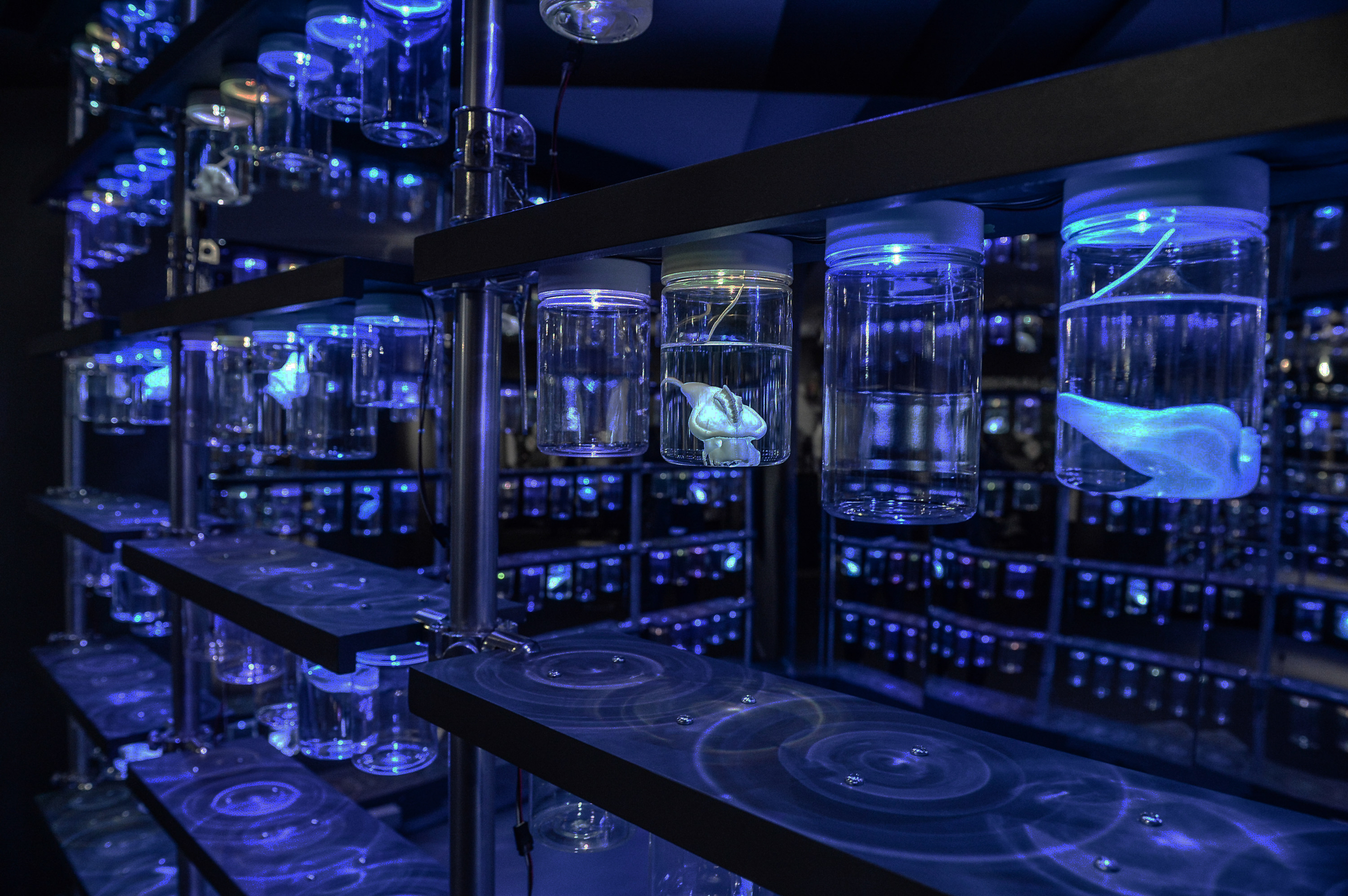 Lab2_by_CanadianFilmCenter.jpg