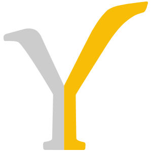 Y brand concept