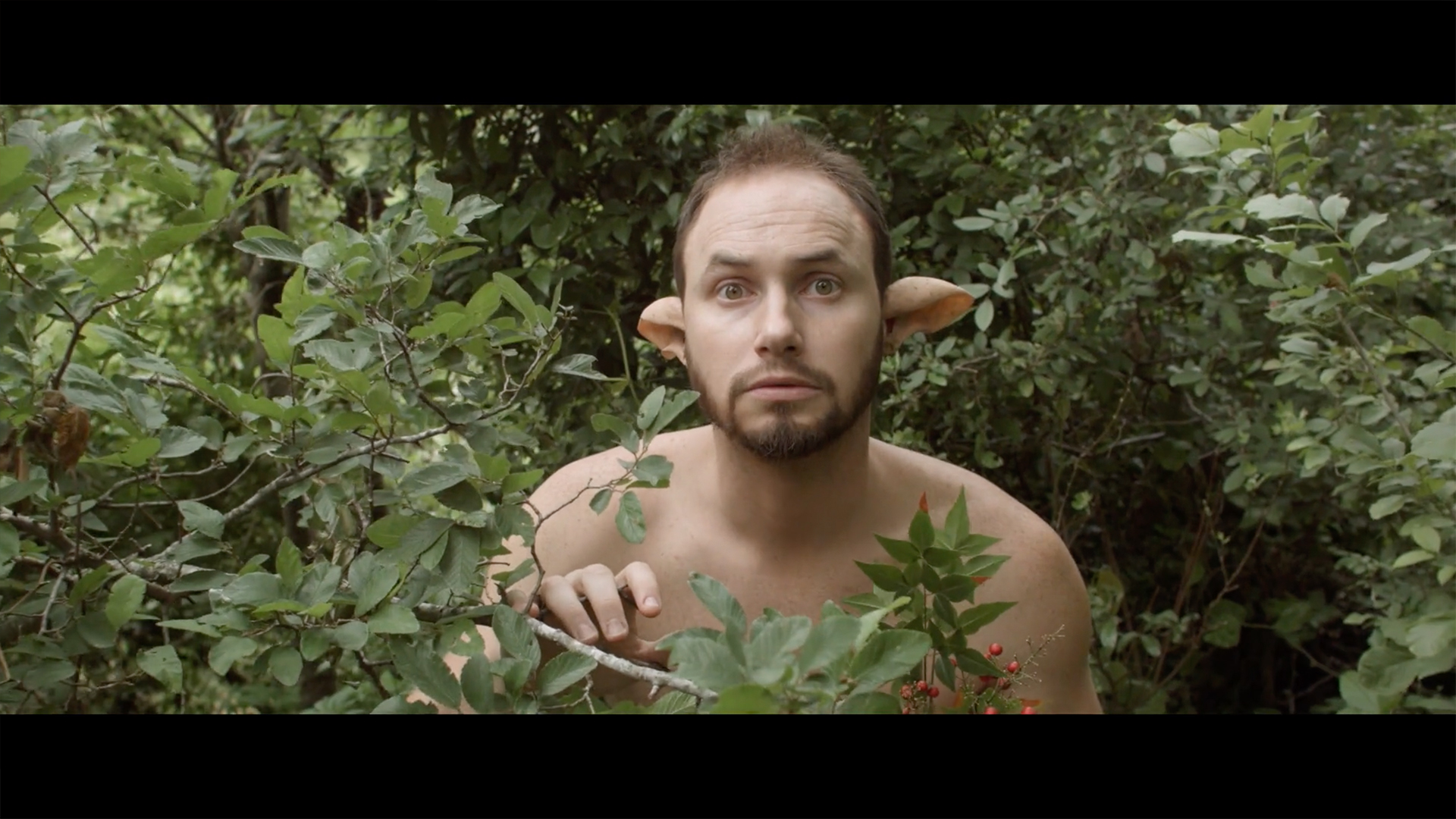 goat reveal.jpg