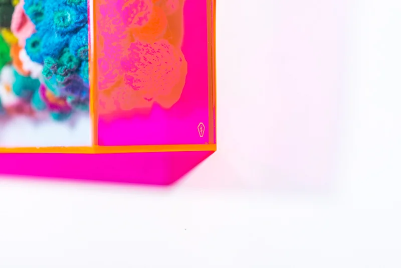 Electric Coffin- - Koolit Kool-Aid, 2019 - detail-6.jpg