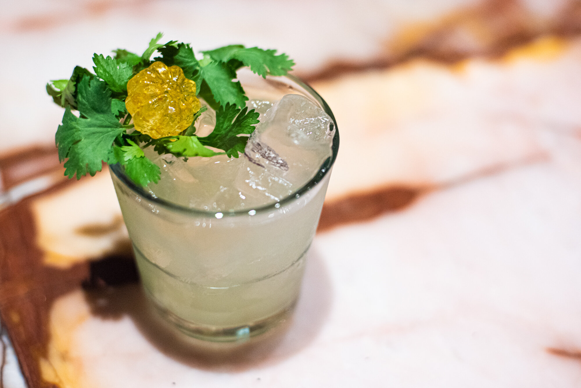 COCKTAIL_EVERLEY CLUB-0719.jpg