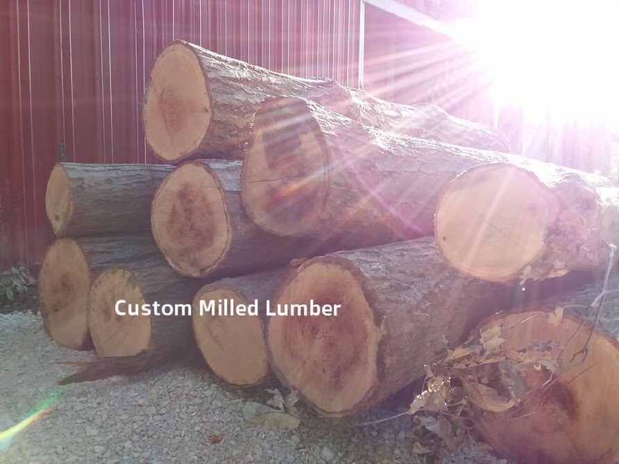 Sawmill logs.jpg