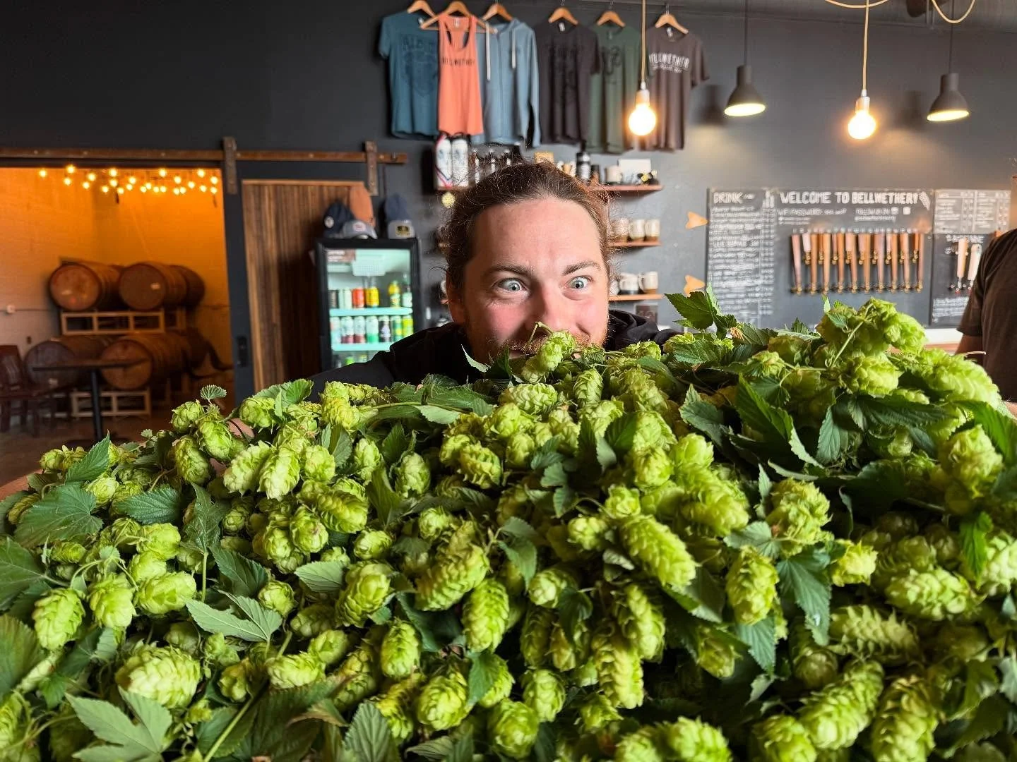 FRESH HOP
Neighborhood Fresh Hop Hazy IPA 7.5% ABV
Brewed with Cascade Hops, foraged 2 blocks from Bellwether and processed by our Sunday regulars! Hyperlocal!
.
Come get it while it’s super fresh. π
.
#bellwetherbrewing #spokane #spokanebeer