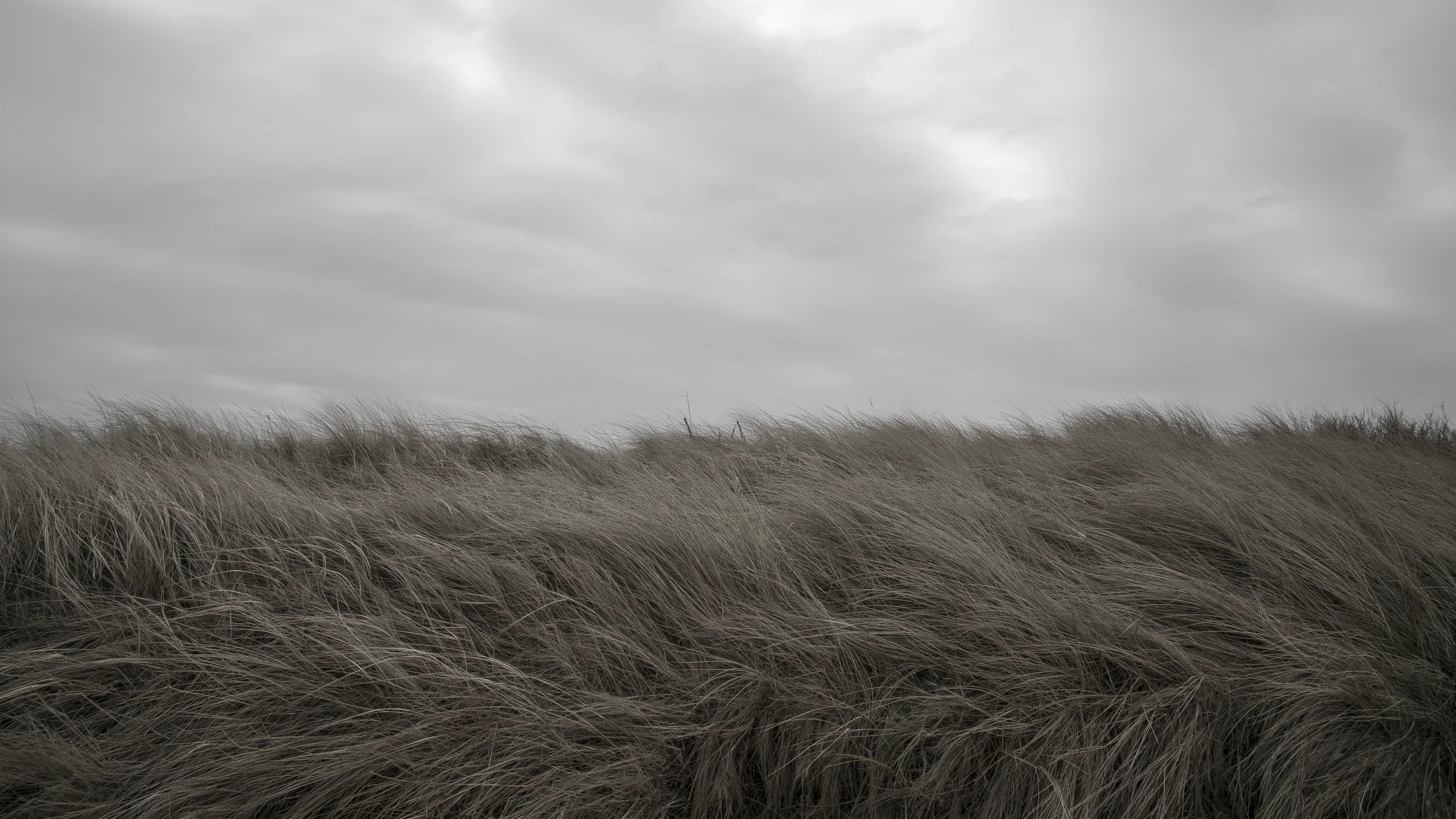 L1000136-the north sea 3.jpg