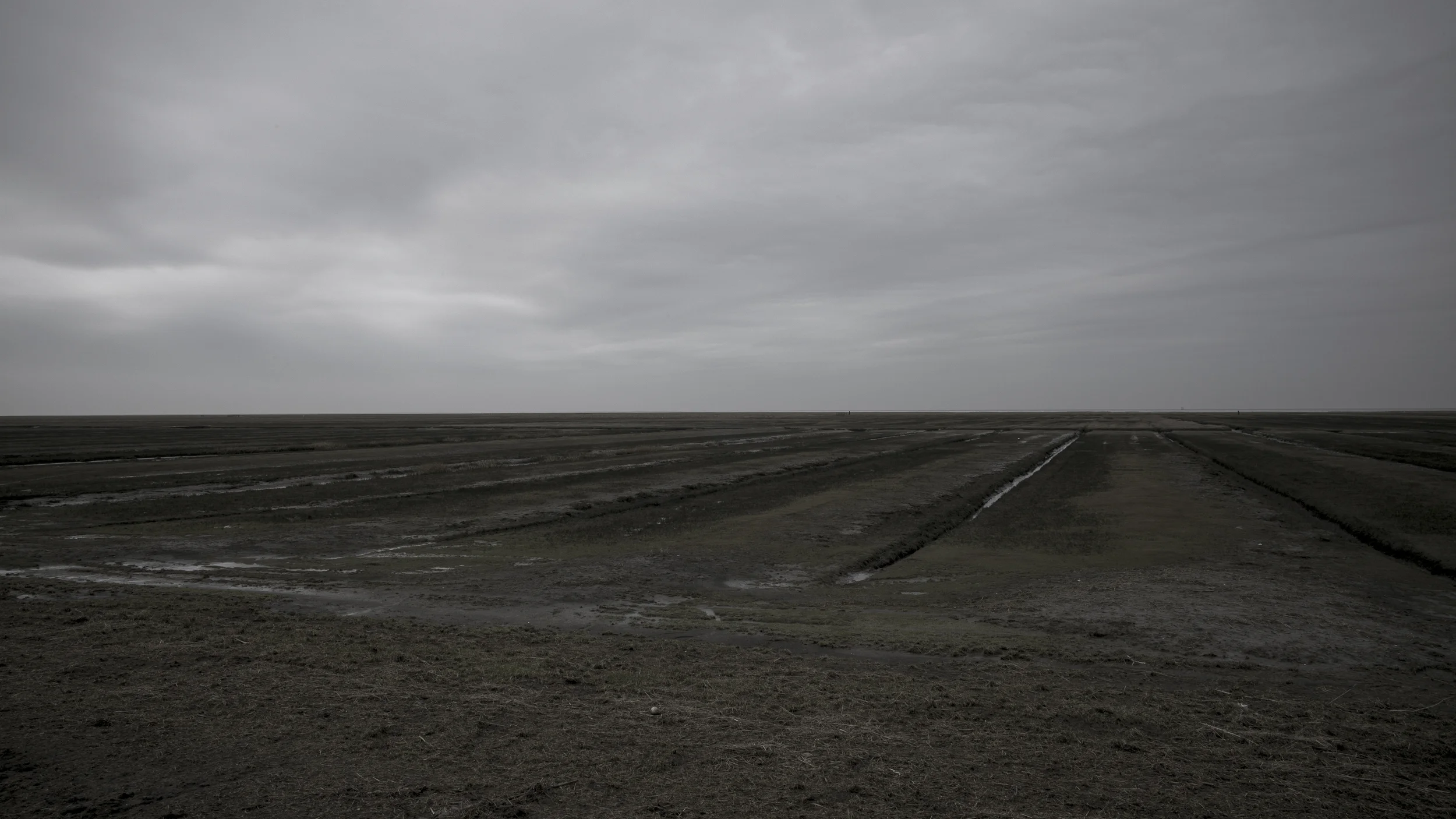 L1000175-The North Sea 9.jpg