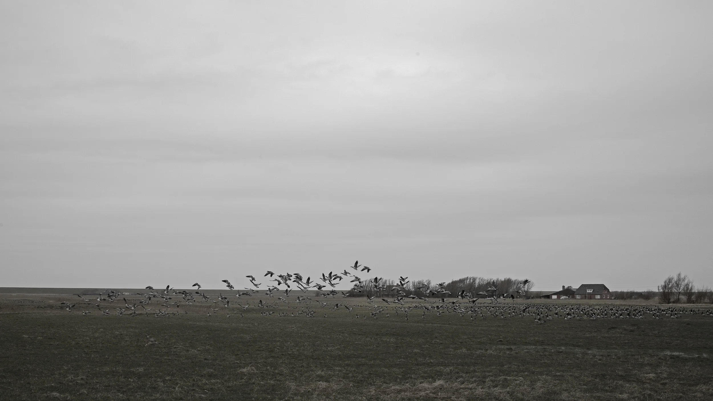 L1000178-The North Sea.jpg