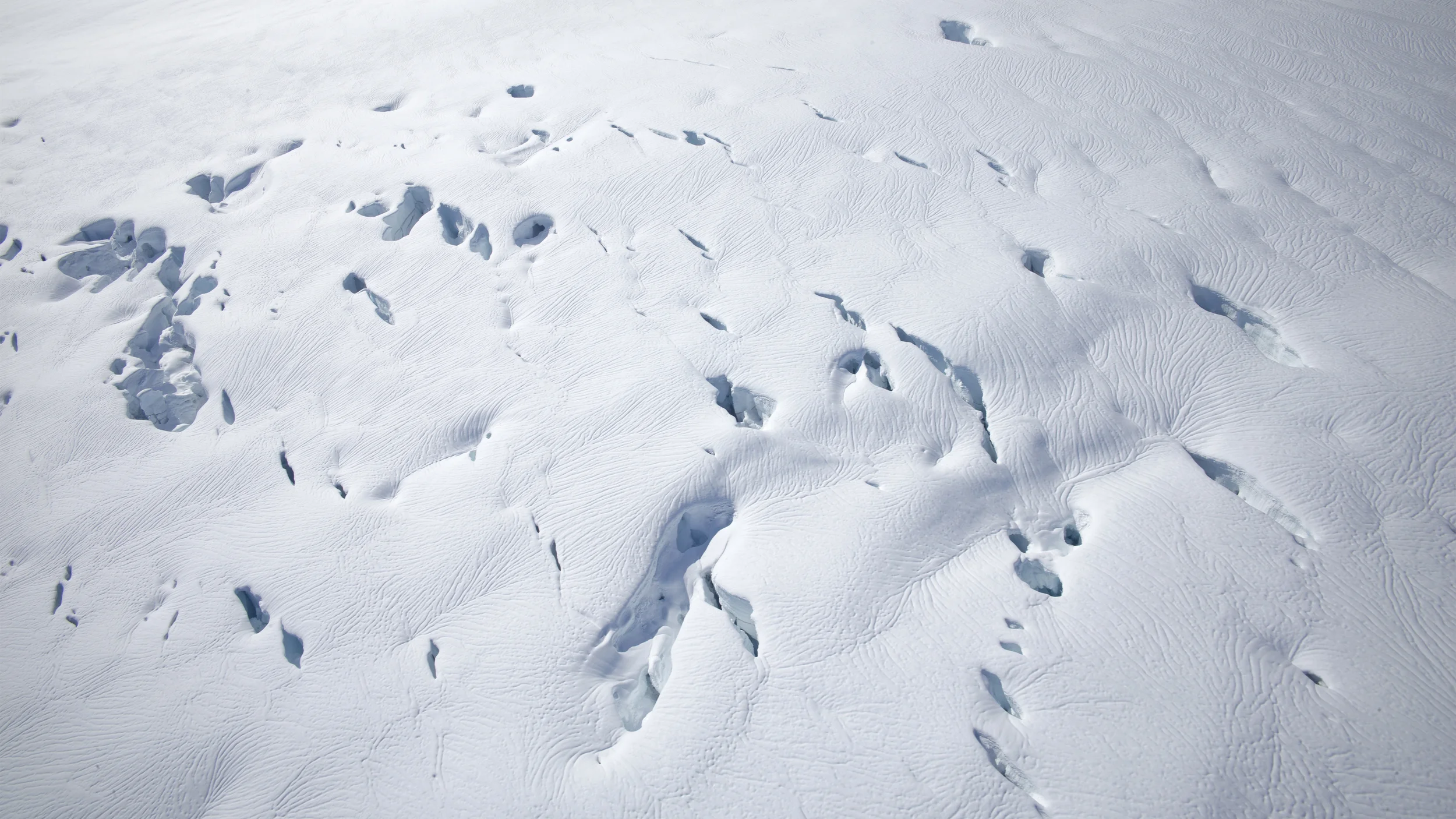 L1000916 copy as Smart Object-1.jpg