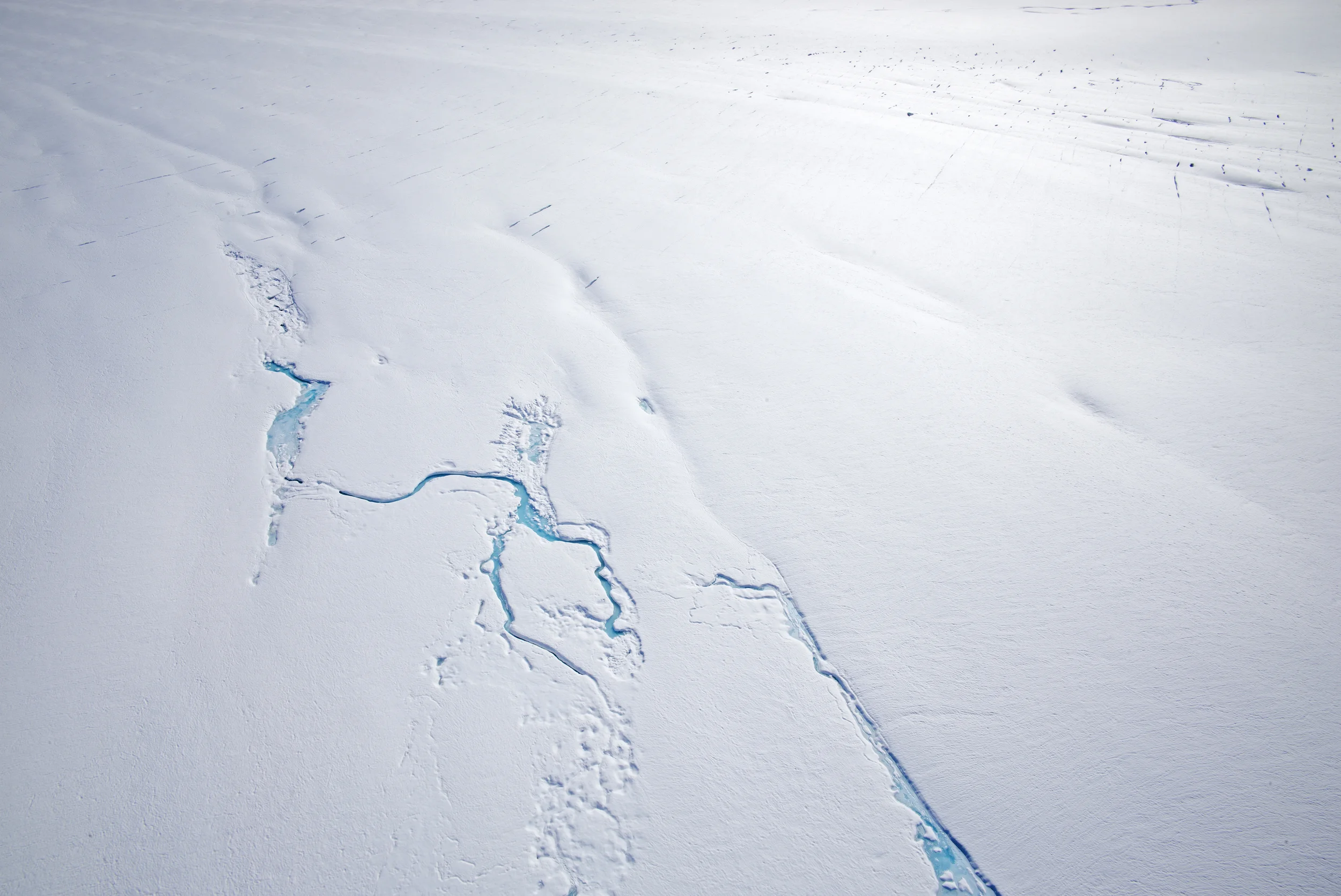 L1000926 copy as Smart Object-1.jpg