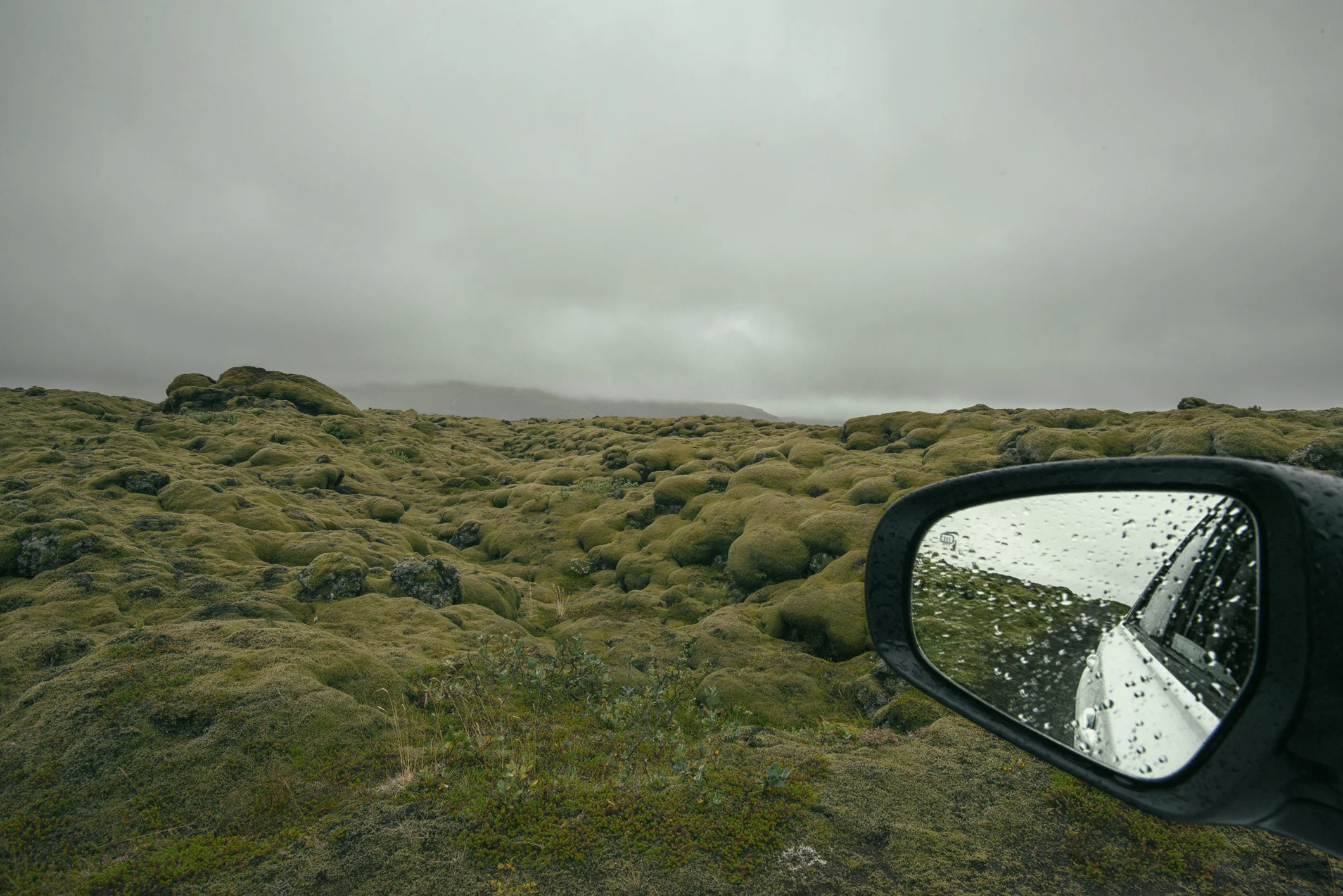 VIA_2477_Moss field w mirror-small.jpg