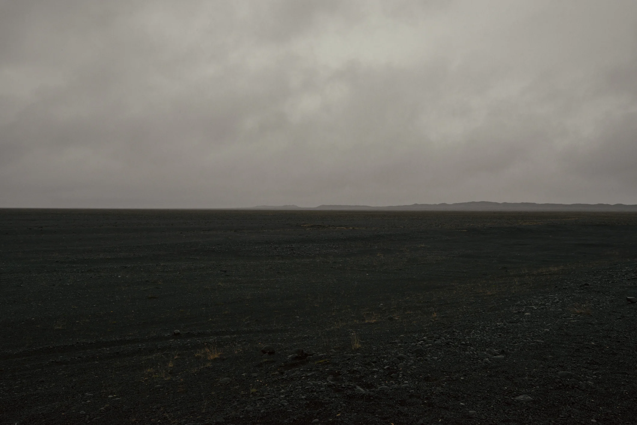 VIA_2512-Field-small.jpg