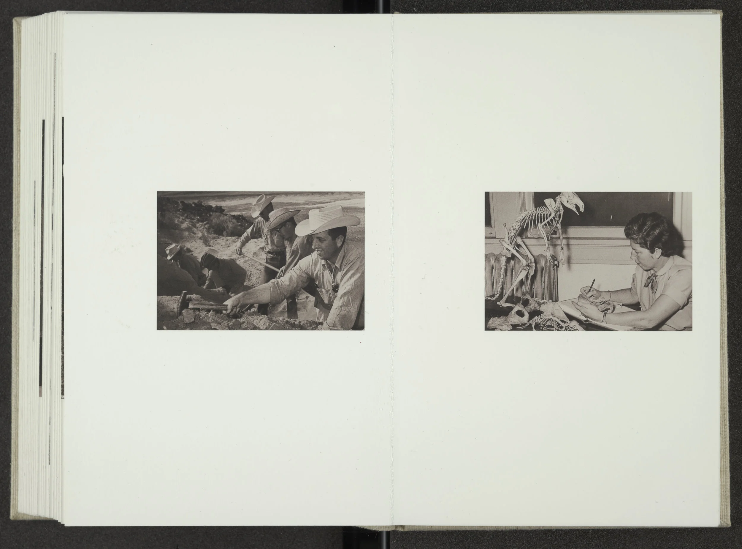 Unknown_Futures_025.jpg