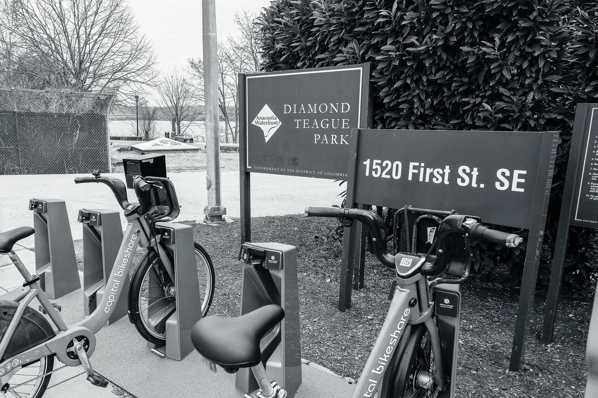 Youth Movement: Honoring Diamond Teague and Monique Johnson