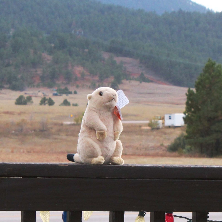 prairie dog stuffed animal