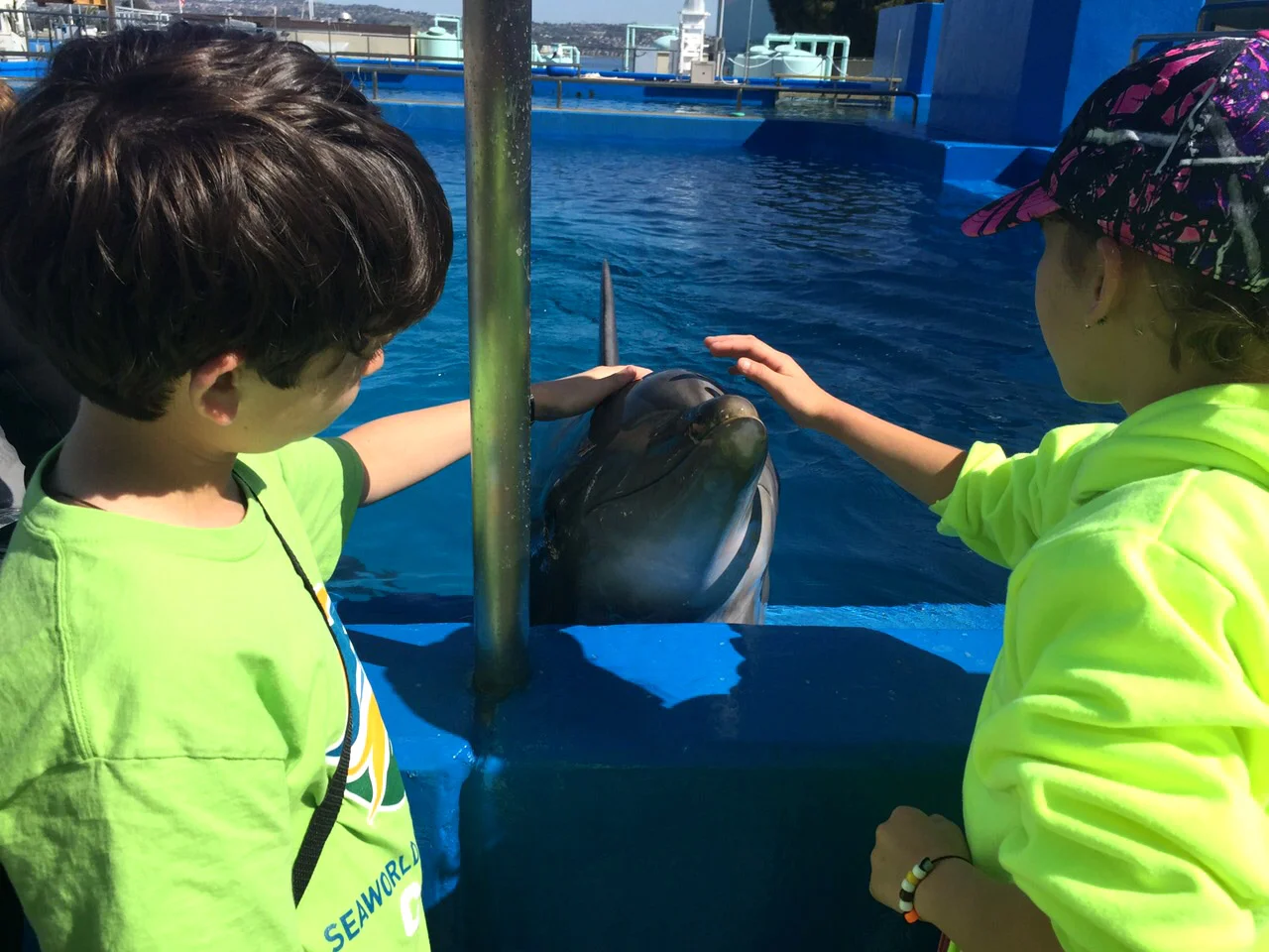 seaworld-024.jpg