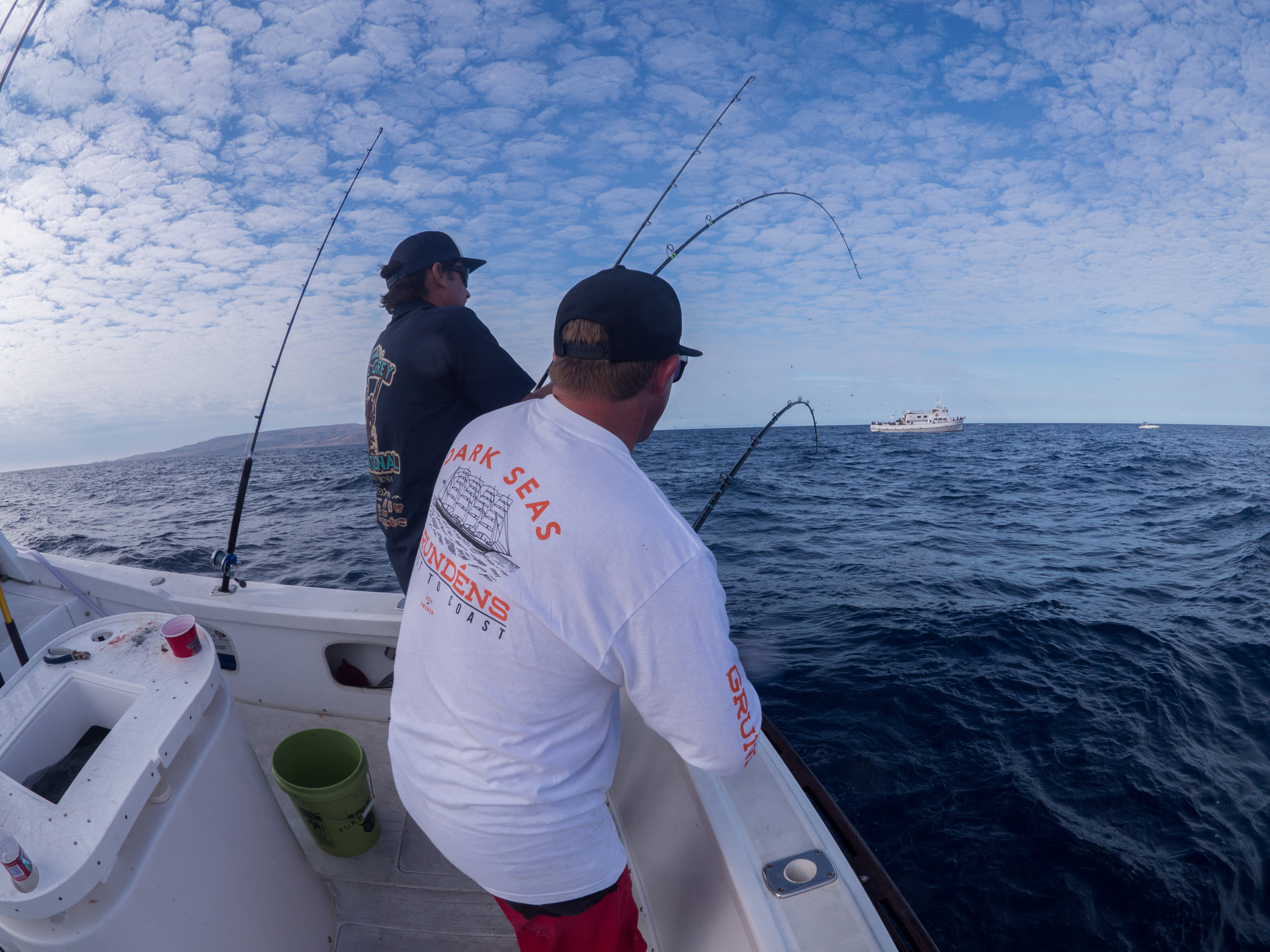 fishing trips As Therapy