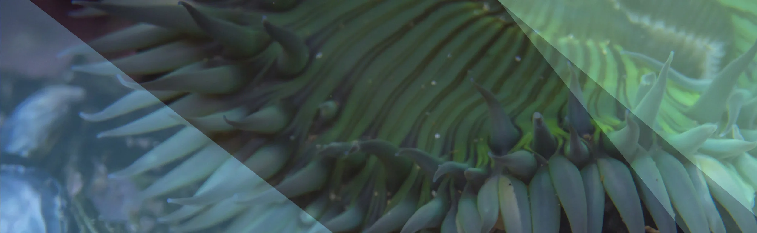 Lab Testing-Header.jpg