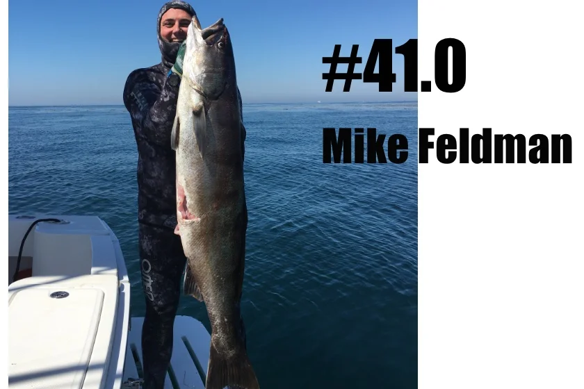 Mike Feldman 41.0.jpg