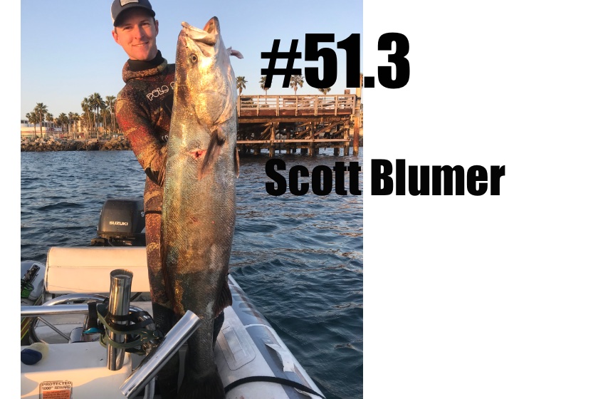 Scott Blumer 51.3.jpg