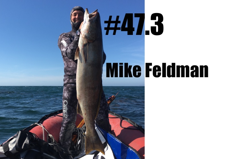 Mike Feldman 47.3.jpg