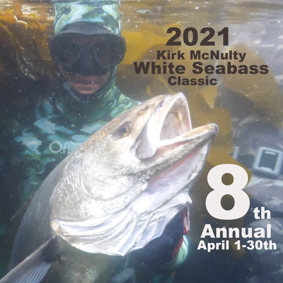 2021 Kirk McNulty White Seabass Spearfishing Classic
